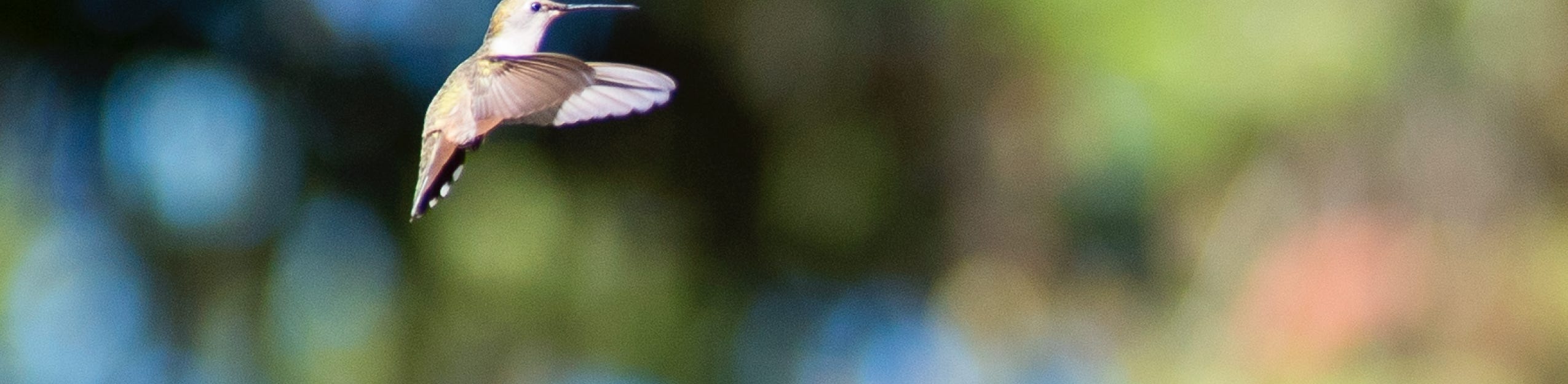 Teach Only Love by Michael Angel North